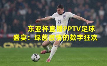 东亚杯直播PPTV足球盛宴：绿茵激情的数字狂欢