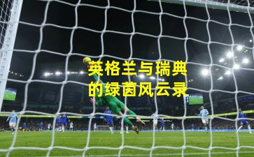 英格兰与瑞典的绿茵风云录
